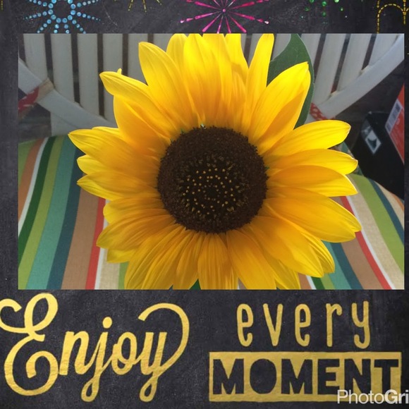 Meet your Posher, Lisa - Picture 1 of 1